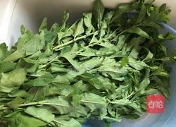 芝麻酱凉拌枸杞叶的做法图解1