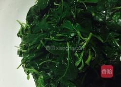 芝麻酱凉拌枸杞叶的做法图解3