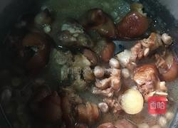 花生猪手的做法图解10