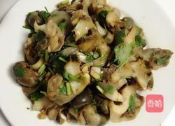 凉拌海螺的做法图解6