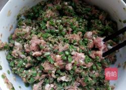 豆角肉饺子的做法图解4