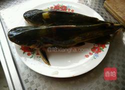 黄颡鱼炖豆腐的做法图解1