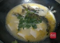黄颡鱼炖豆腐的做法图解6