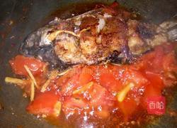 番茄红烧鱼的做法图解6