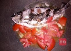 番茄红烧鱼的做法图解5