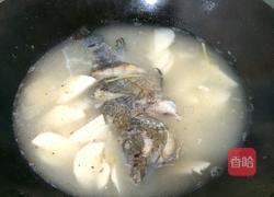 石斑鱼汤的做法图解7