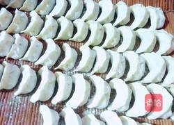 什锦肉馅饺的做法图解10