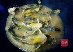 红烧昂刺鱼的做法图解8