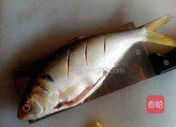 清炖鱼的做法图解3