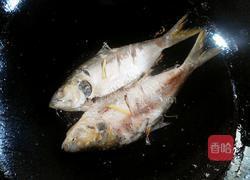 清炖鱼的做法图解5