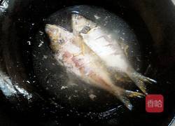 清炖鱼的做法图解6