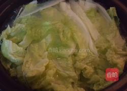 粉絲白菜煲的做法圖解4