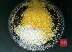 山药枸杞小米粥的做法图解1