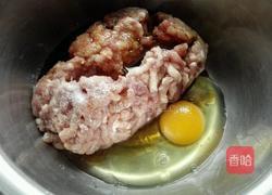 洋葱猪肉馅饼的做法图解1
