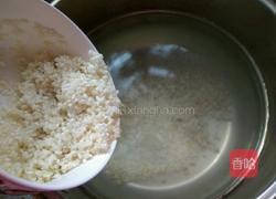 雪梨粥的做法图解4