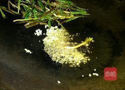 葱油蛤蜊的做法图解5