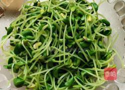 拌黑豆苗的做法图解3