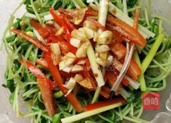 拌黑豆苗的做法图解4