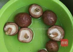 蘑菇烧鸡的做法图解2