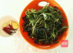 凉拌马齿苋的做法图解1