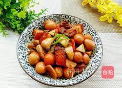 口菇鹌鹑蛋烧肉的做法图解18