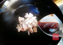 炖猪肉的做法图解4