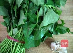 炒红薯叶的做法图解1