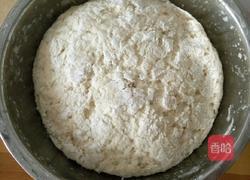 三素菜包的做法图解14