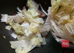 炖白菜的做法图解7
