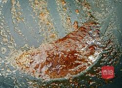 自制牛排的做法图解13