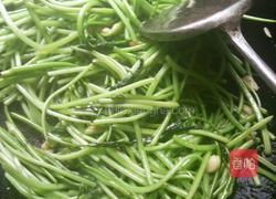 蒜香红薯苗的做法图解5