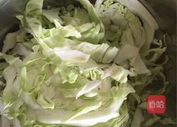卷心菜小炒的做法图解3