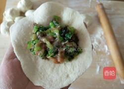 木耳芹菜包子的做法图解16