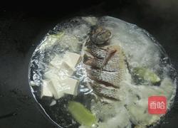 清汤鲫鱼的做法图解6