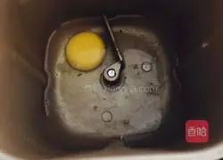 Recipe for Meat Floss Condensed Milk Salty Bread (dairy-free and sugar-free version) 1