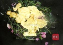 苋菜炒鸡蛋的做法图解7