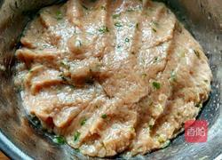 萝卜肉丸子的做法图解9