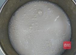 DIY酸奶的做法图解3