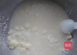 蜂蜜小餐包的做法图解5