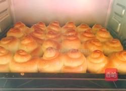 蜂蜜小餐包的做法图解20