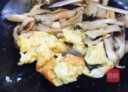 平菇鸡蛋的做法图解7