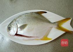 红烧鲳鳊鱼的做法图解1