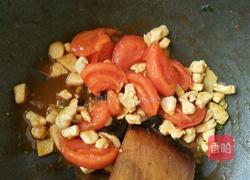 番茄鸡肉的做法图解7