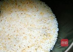 糙米饭的做法图解8