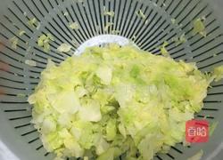 清淡口味菜肉蒸餃的做法图解2