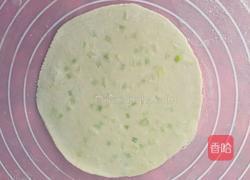 饺子皮煎饼的做法图解4