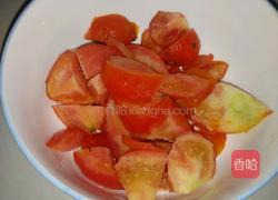 番茄烧鱼的做法图解2