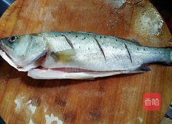 清蒸海鲈鱼的做法图解2