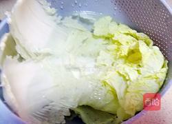 白菜粉条的做法图解3