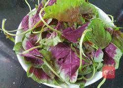 清炒红苋菜的做法图解1